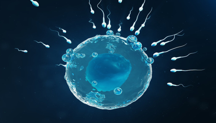 Sperm Sayısı Kaç Olmalı?